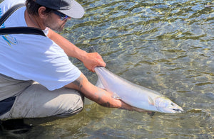 NORSKER MK2 skydeline 20LB grovtestet i British Columbia!