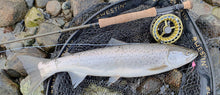 BLACK WEEK SEA TROUT 9´ NORSKER Light Sea Trout # 5 Komplet Sæt!
