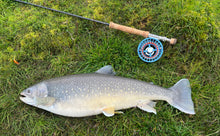 NORSKER 9´# 6  " Arctic Char "