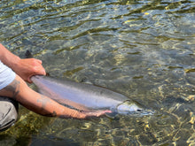 11´ NORSKER Night Hawk # 6/7 Switch Nyhed for 2026!