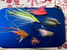 NORSKER Kystflue Pakke